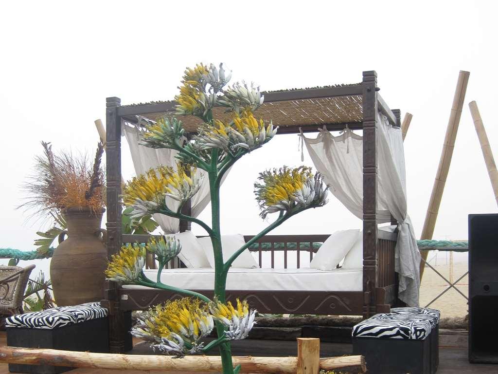 Villaggio Albergo Internazionale La Plaja CTA Naturaleza foto
